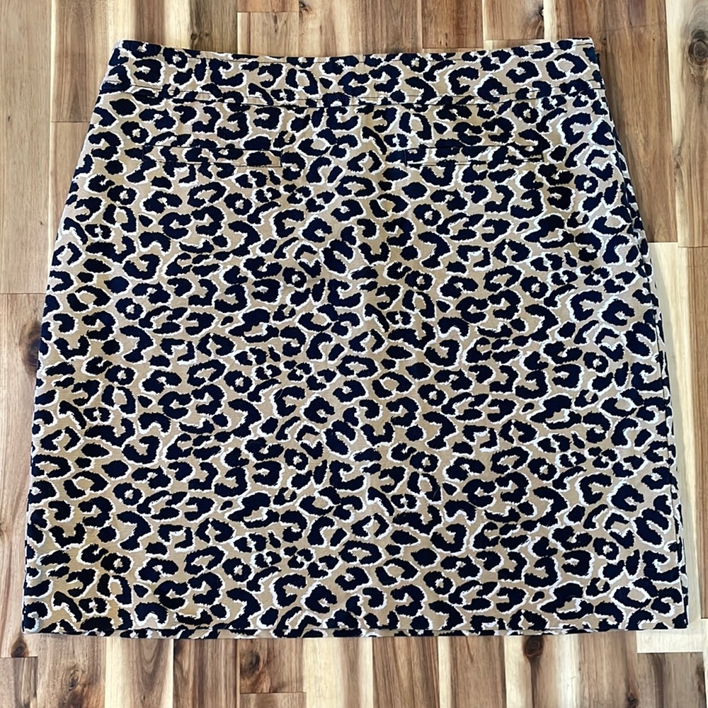 Talbots Skirt